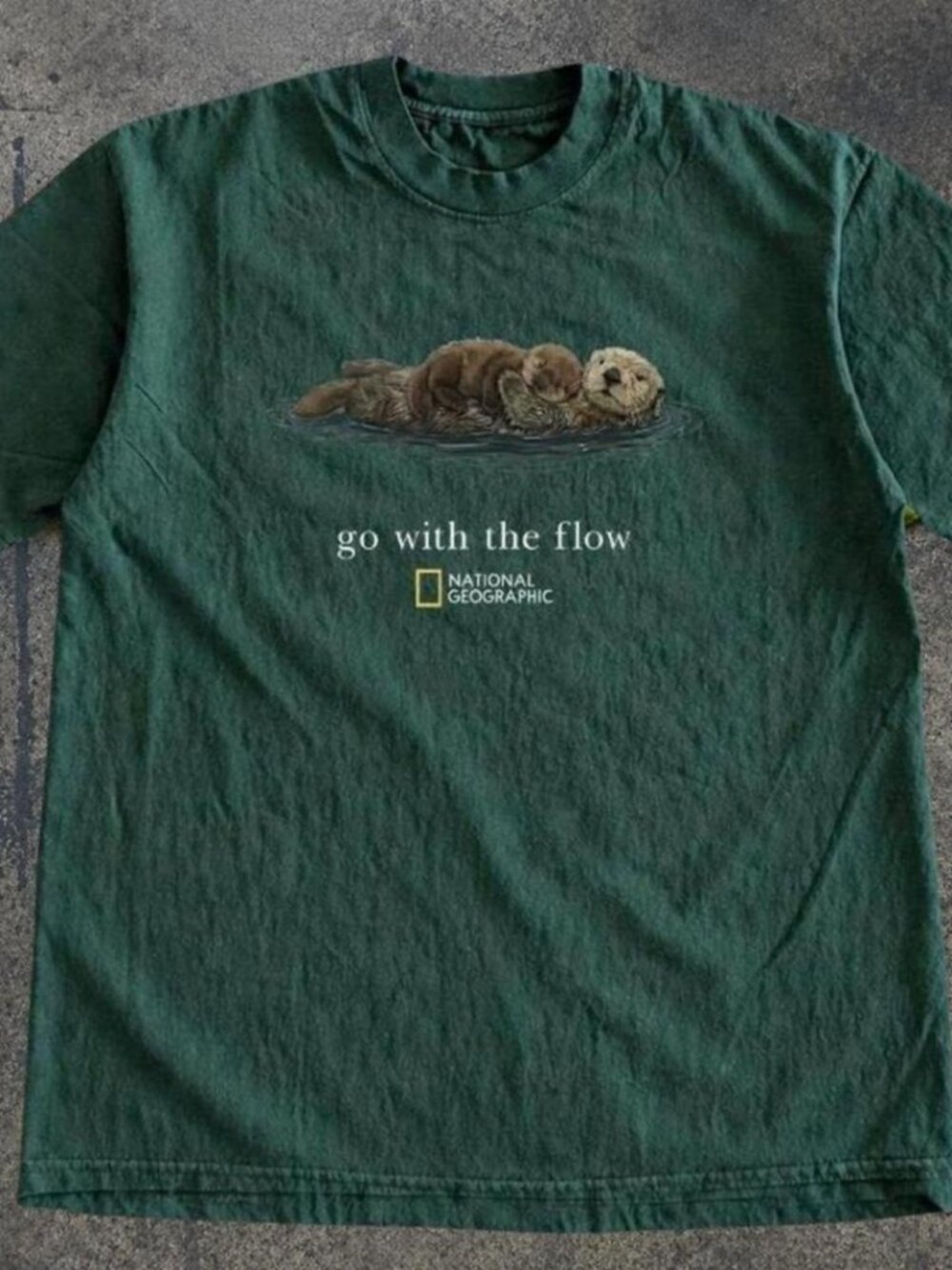 National Geographic “Go With the Flow” Otter Graphic T-Shirt | Gildan